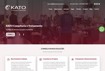 Kato Consultoria: Website criado pela ALDABRA