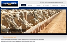 Laço Forte: Website criado pela ALDABRA