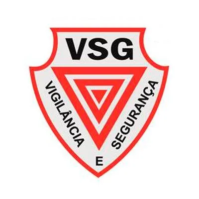 Grupo VSG